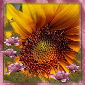 Meet your Posher, Sandra